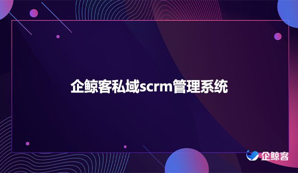 企鲸客私域scrm管理系统