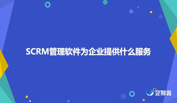 SCRM管理软件为企业提供什么服务